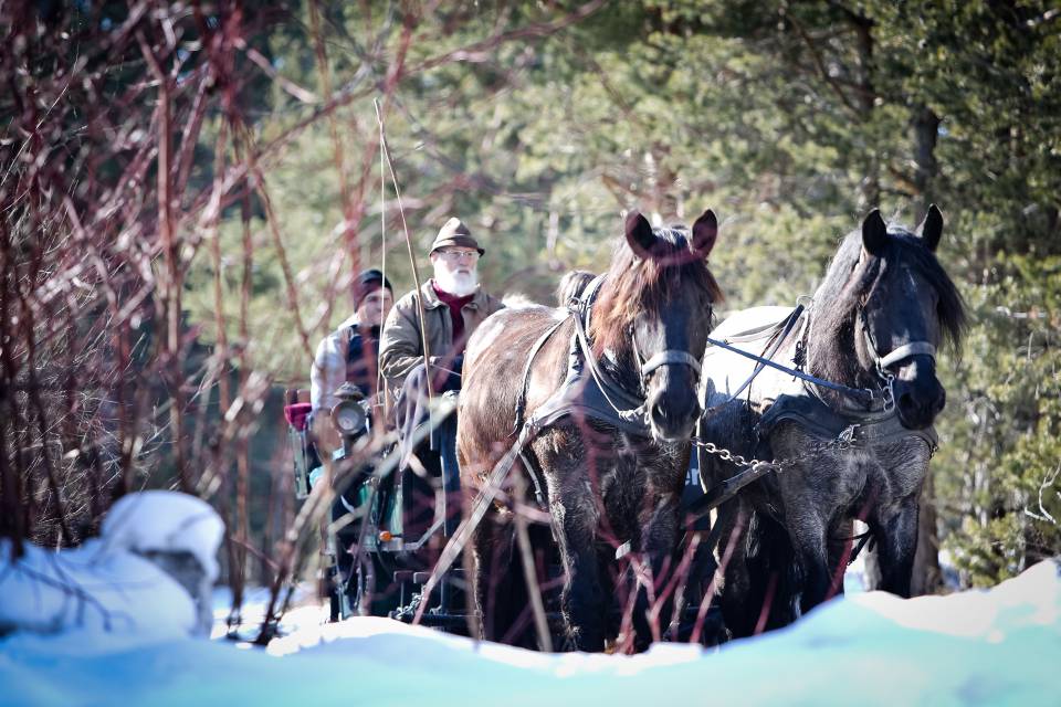 Pferdekutschenfahrt im Winter in Tirol