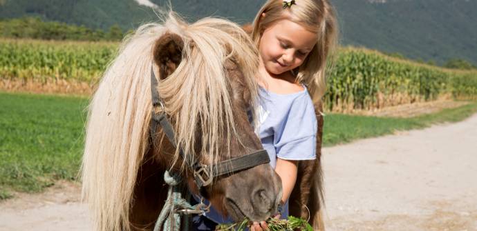 Kind füttert Pony