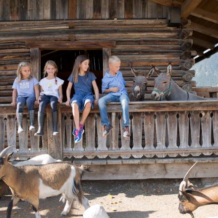 Kinder sitzen im Streichelzoo bei Eseln und Ziegen