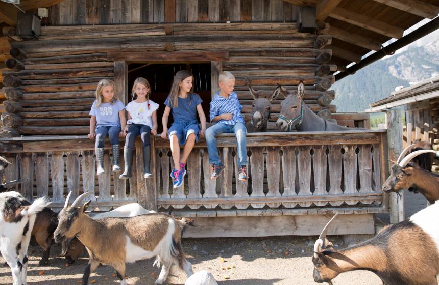 Kinder sitzen im Streichelzoo bei Eseln und Ziegen