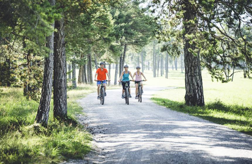Fahrradfahrer fahren durch Wald und Wiese in Tirol