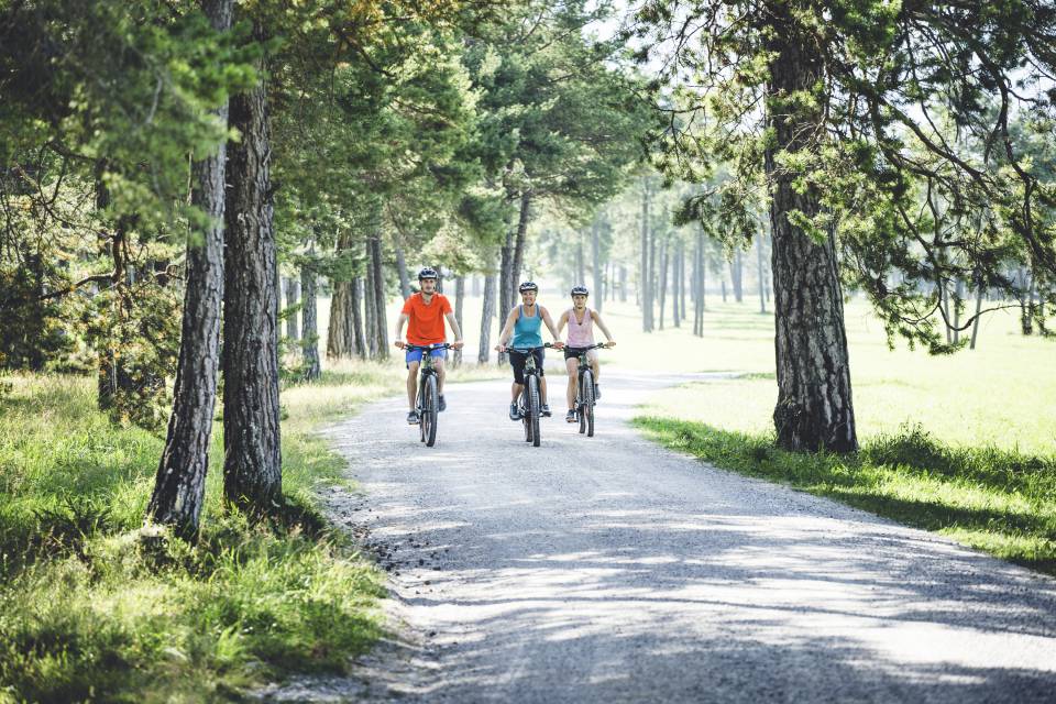 Fahrradfahrer fahren durch Wald und Wiese in Tirol
