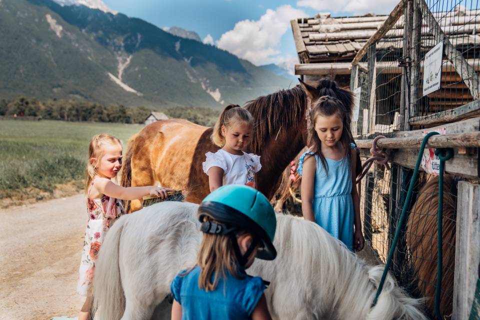 Für alle Generationen: Schwarz stays - Alpenresort Schwarz