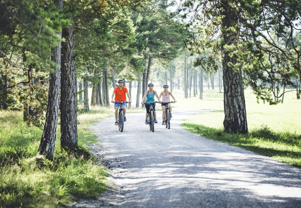 Fahrradfahrer fahren durch Wald und Wiese in Tirol