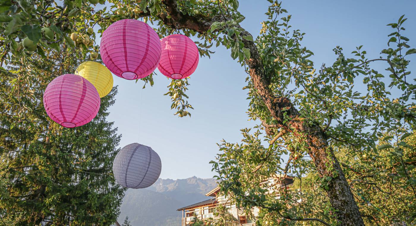 Bunte Papierlaternen hängen im Baum