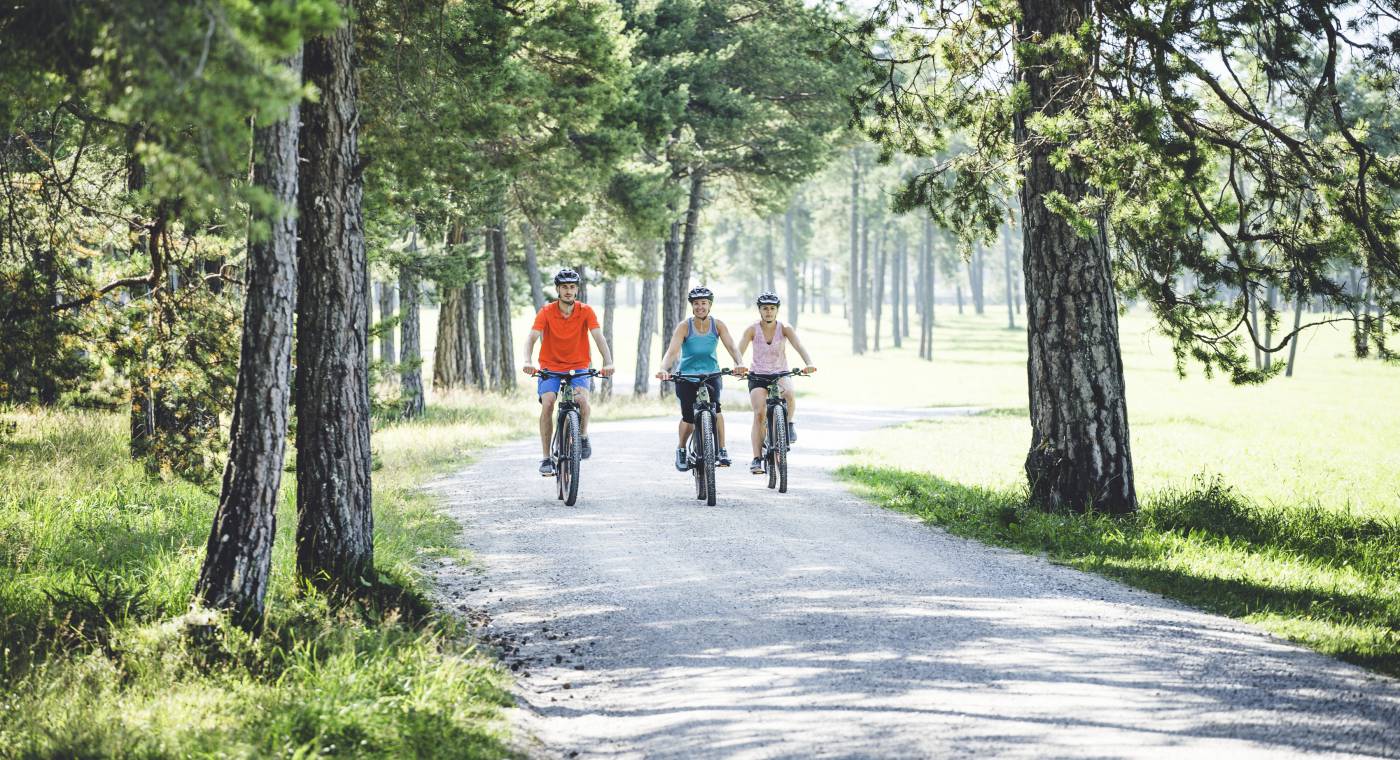 Fahrradfahrer fahren durch Wald und Wiese in Tirol