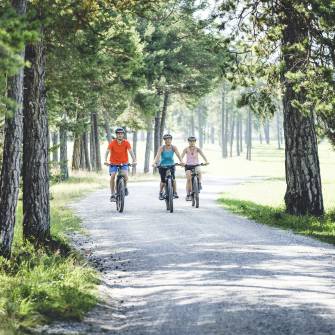 Fahrradfahrer fahren durch Wald und Wiese in Tirol