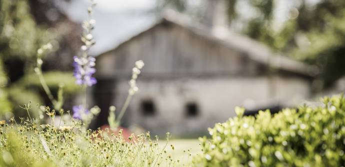 Garten des Alpenresort Schwarz