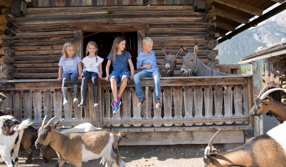 Kinder sitzen im Streichelzoo bei Eseln und Ziegen