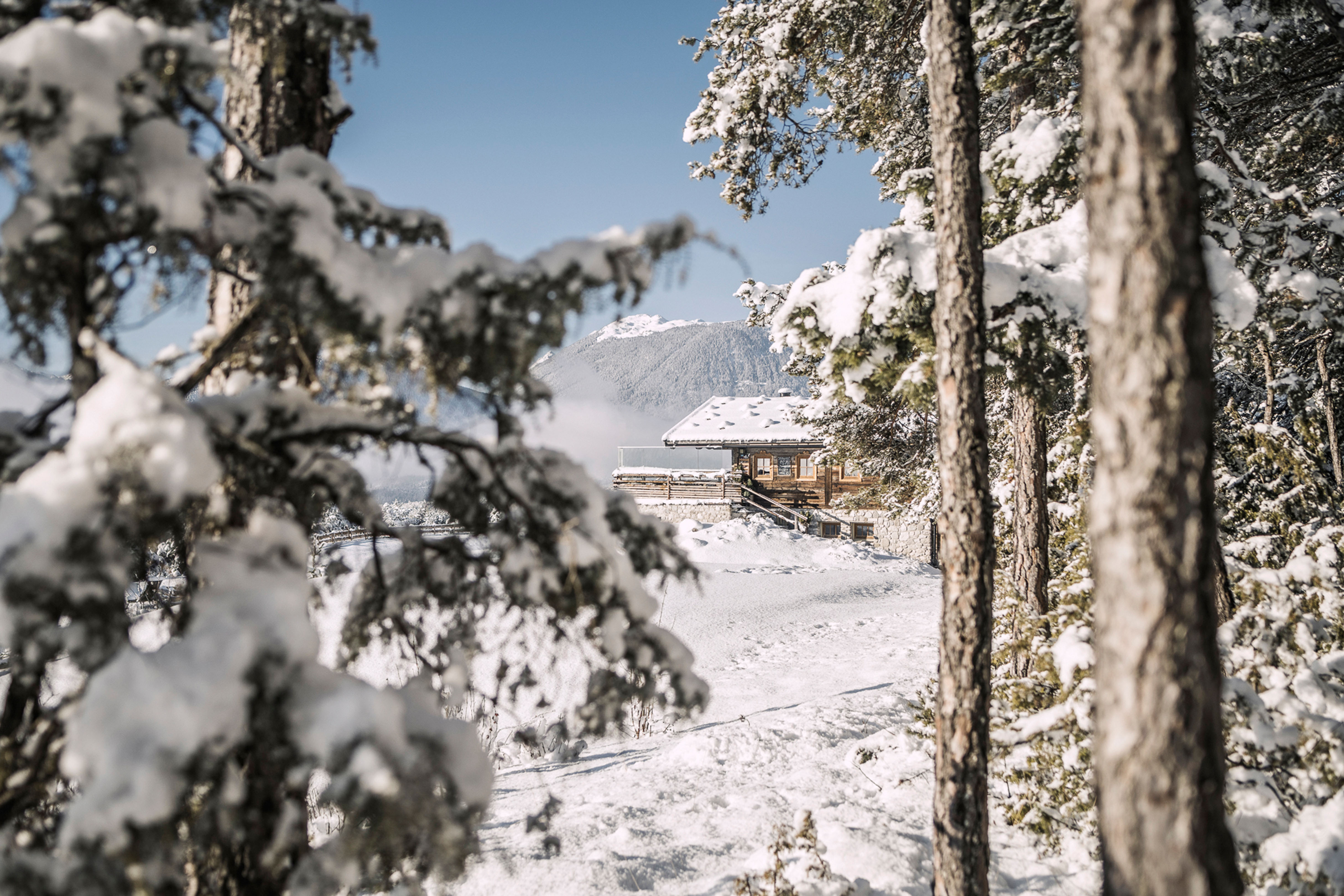 Verschneiter Wald mit Blick auf die Tiroler Alpen